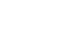 Alternate Text